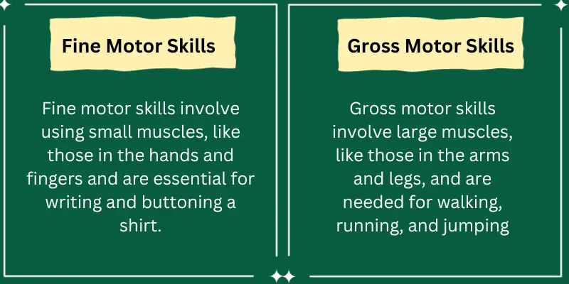 Difference between fine motor skills and Gross motor skills