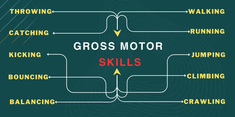 Gross Motor Skills