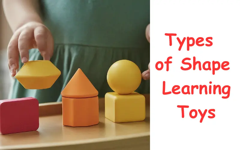 Types of Shape Learning Toys